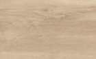 door panel color