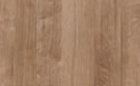 door panel color